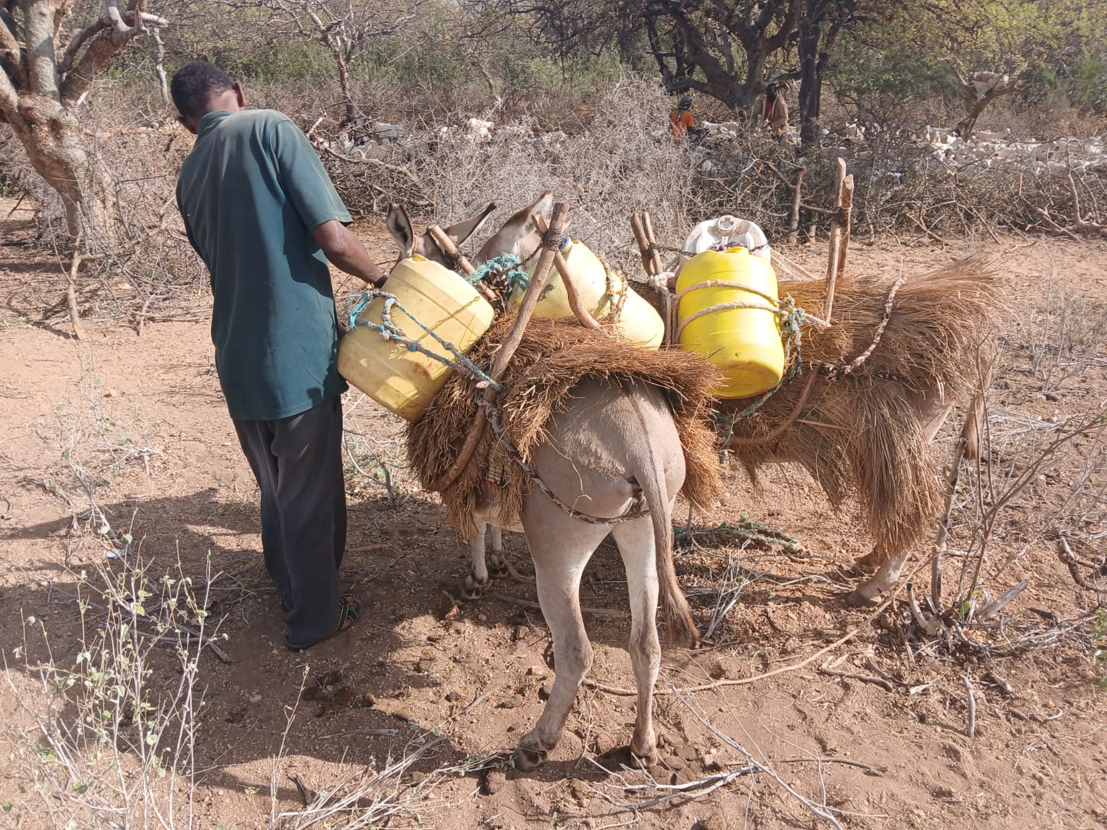 Water, Sanitation & Hygiene