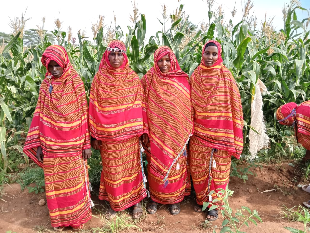 Four women from a STEP collective in front of maize