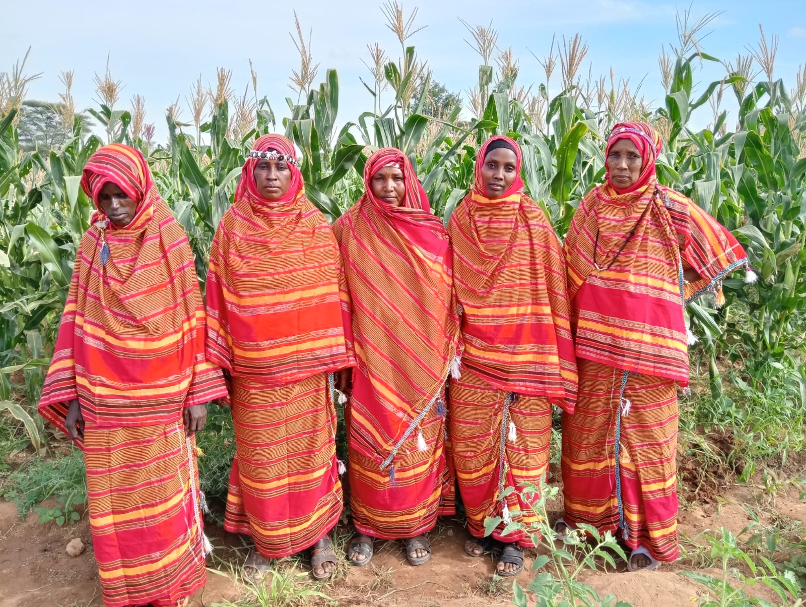 STEP women's group members in traditional dress beside maize field